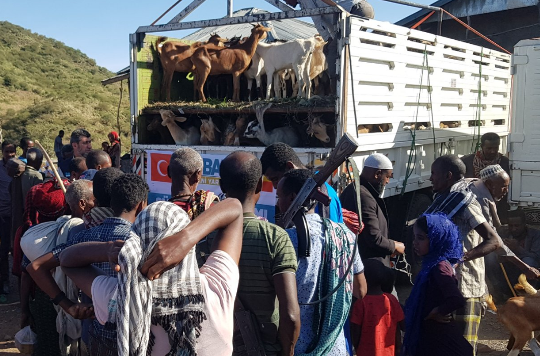 Etiyopya'da Süt Keçileri Dağıttık.